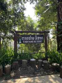 Tad Fane Waterfall : Paksong