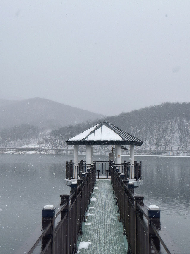 눈으로 뒤덮인 서울근교 드라이브+산책로 추천❄️