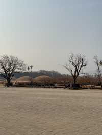 경주 여행가면 무조건 가야하는 ‘첨성대’