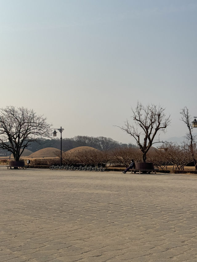 경주 여행가면 무조건 가야하는 ‘첨성대’