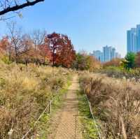 산책하기 좋은 서울공원 3곳 🌳