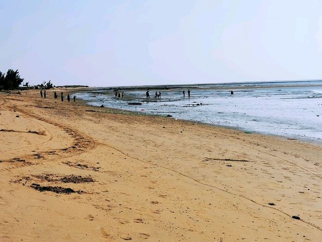 放坡村浪漫趕海