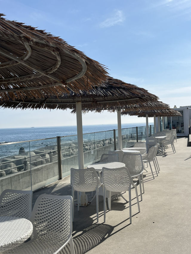 창문 넘어 탁 트인 바다뷰를 볼 수 있는 경주 오션뷰 카페 창문 넘어 탁 트인 바다뷰를 볼 수 있는 경주 오션뷰 카페