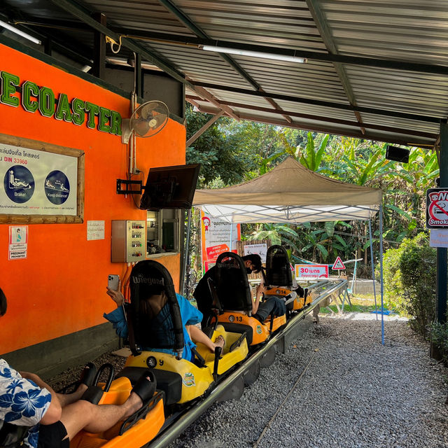 โป่งแยงจังเกิ้ล เชียงใหม่