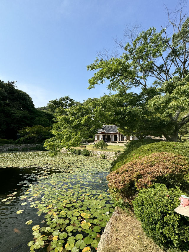 전남 진도 야외나들이 추천, 운림산방 
