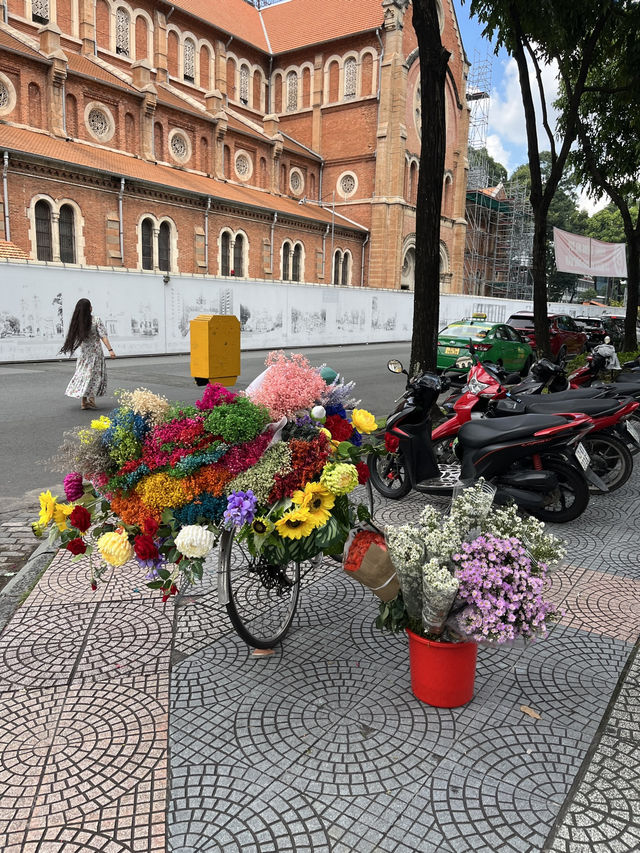 Lovely Ho Chi Minh