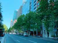 From Greenery to History: A Walk to State Library of NSW