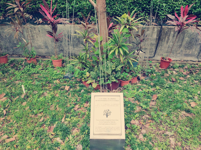 🌿藏在歷史裡的浪漫心跳💓|百年紅磚牆下的愛情見證  🌿藏在歷史裡的浪漫心跳💓|百年紅磚牆下的愛情見證