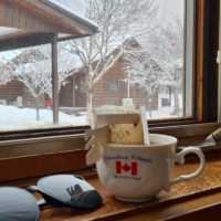 Forget about Hokkaido, come here instead!! 