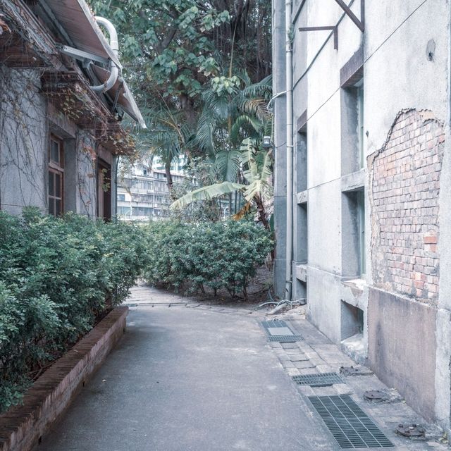 시간이 멈춘 듯한 공간 화산 1914