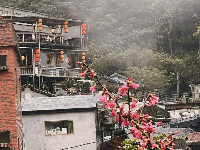 台北7日遊行程推介