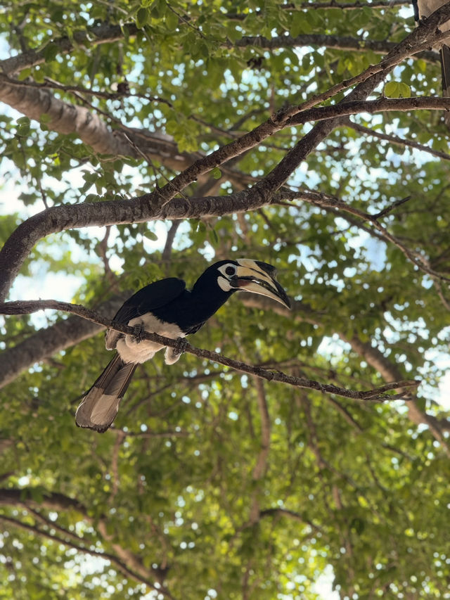 อุทยานแห่งชาติหมู่เกาะอ่างทอง🕊️🦜🏝️
