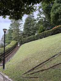 Perfect Escape -MacRitchie Reservoir