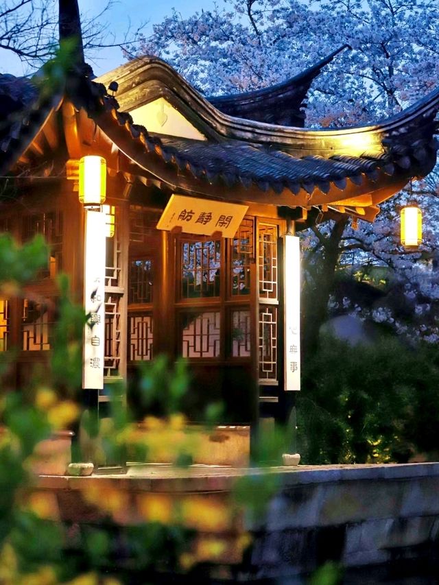 Discover the Hidden Gem of Jiangnan: Your Ultimate Guide to Xuntang Ancient Town!