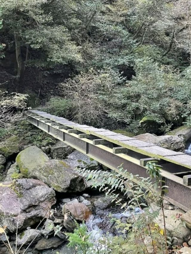 一見の価値あり！