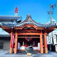 新田神社 🌿城市中的一片寧靜