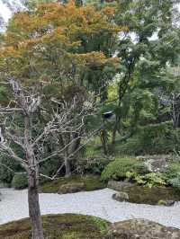  【神奈川県　鎌倉市の浄妙寺で耳を澄まし鳥のお喋りと水の音色を受け取る】 