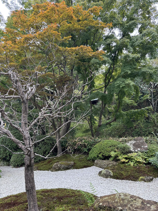  【神奈川県　鎌倉市の浄妙寺で耳を澄まし鳥のお喋りと水の音色を受け取る】 