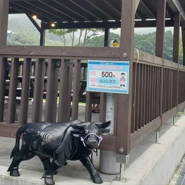 貴重な四万十牛を購入できる