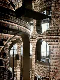 Dujiangyan Library