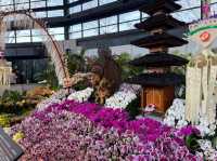 台南後壁-亞太蘭花會議暨台灣國際蘭展 Orchid Show 