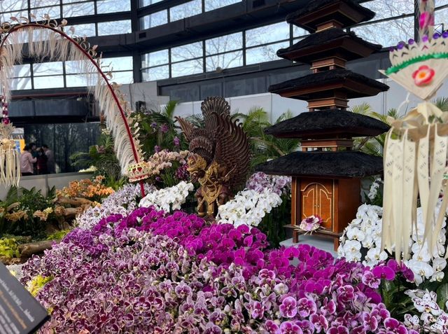 台南後壁-亞太蘭花會議暨台灣國際蘭展 Orchid Show 