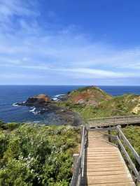 A Breathtaking Coastal Walk at Cape Schanck