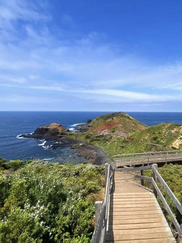 A Breathtaking Coastal Walk at Cape Schanck
