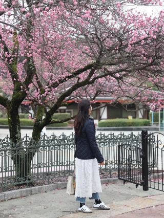 Who wants to go to Beppu to meet Kitty!?
