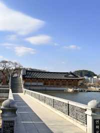 전주 여행가면 꼭 가봐야할 덕진 공원과 연화정도서관