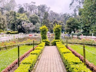 Sim’s Park in Coonoor, India 🇮🇳