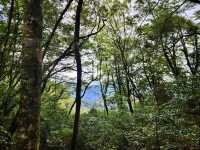 親民的綠野仙境～稍來山步道