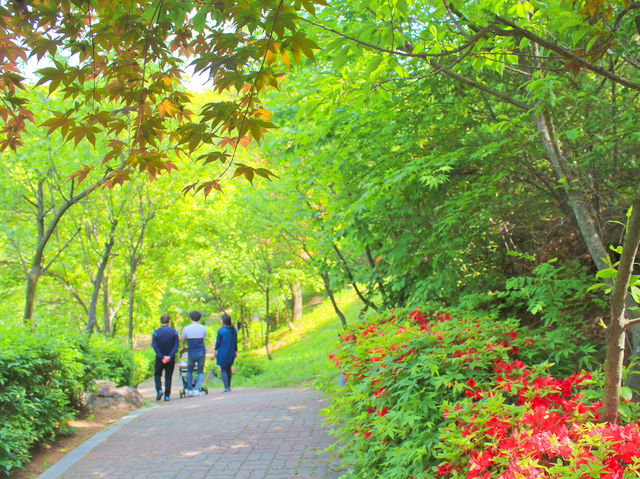 💛서울 근교 야외 데이트 장소 추천, 고양시 행주산성💛