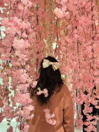Blooming Playlist (블루밍플레이리스트)