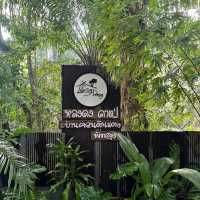 คาเฟ่สไตล์วินเทจ "Long-Dong หลงดง" 🌳🥤