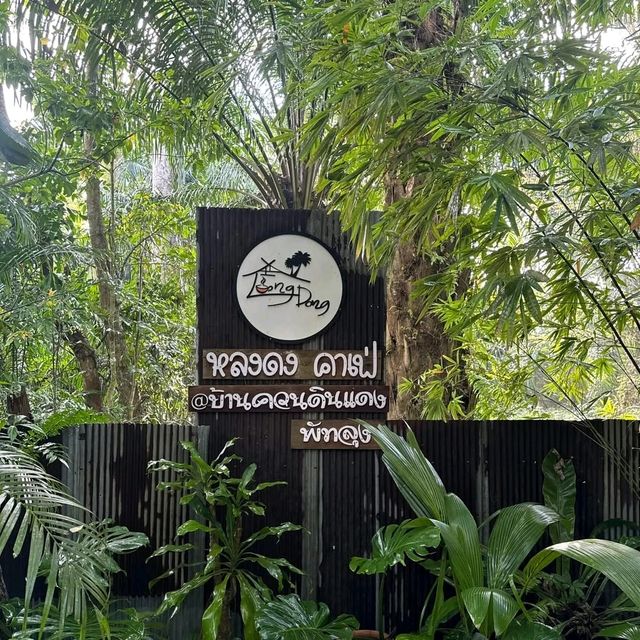 คาเฟ่สไตล์วินเทจ "Long-Dong หลงดง" 🌳🥤