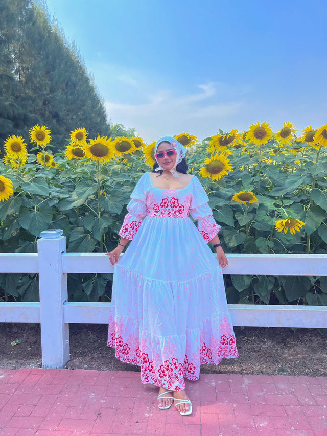 🌻ทุ่งทานตะวัน บ้านไร่นายรุ่ง🌻