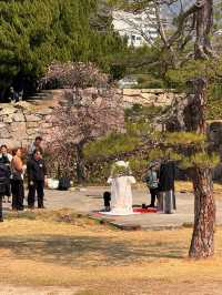 廣島｜燒杉與白灰牆 見證毛利家族崛起失勢與原爆歷史的博物館