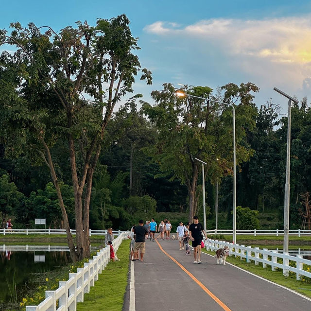 Chaloem Phrakiat Park • Chiangmai  🌿🦖🌨️🌞🌷
