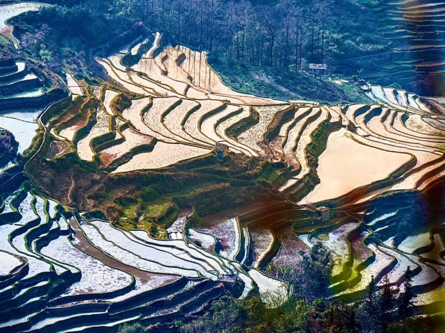 Yuan Yang Terraces Fields
