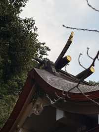 福岡｜唐隋朝遣唐使送別地 光雲神社的巧妙設計投硬幣會有鶴鳴聲
