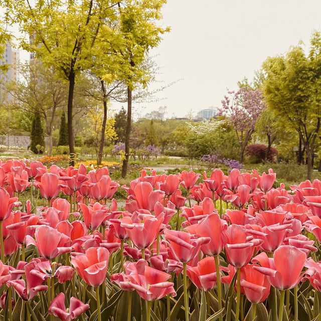 Spring Picnic Perfection 🧺🌷