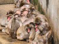 活力 . 愛媛県立とべ動物園