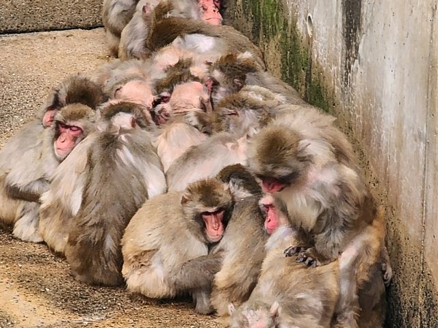 活力 . 愛媛県立とべ動物園