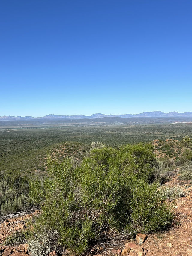 Safari picnic with nature view 