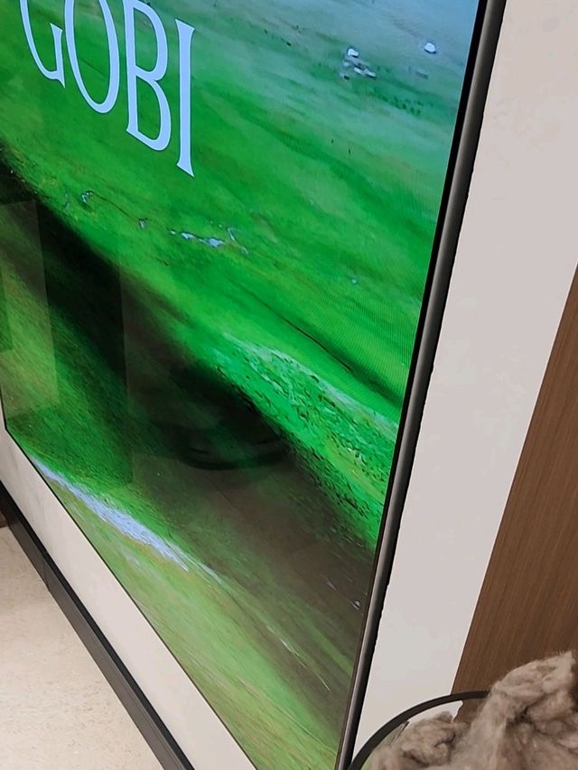 몽골 쇼핑 필수 캐시미어매장
