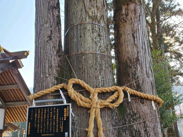 [🇯🇵奥多摩] 奥多摩の街の魅力と自然の静けさ