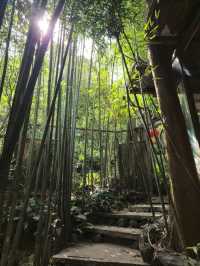 藏身山林的卓也小屋度假園區🎋