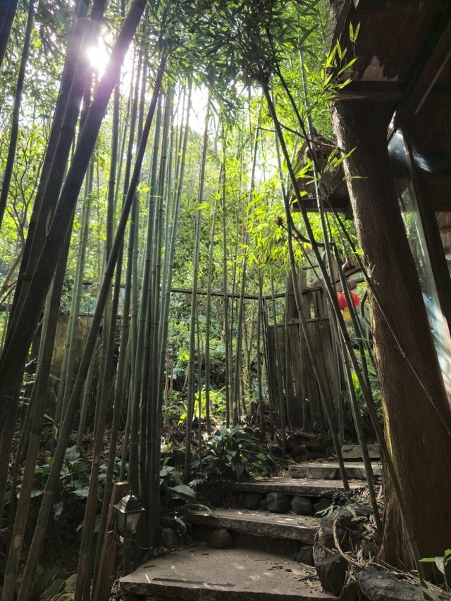 藏身山林的卓也小屋度假園區🎋