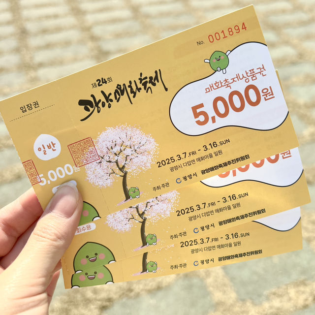 광양 매화축제